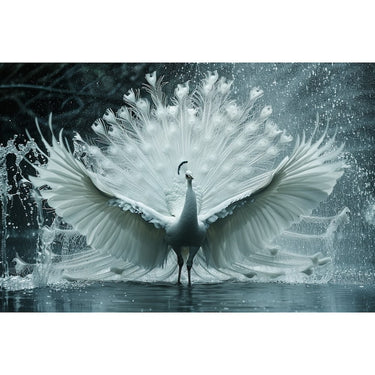 Tableau de Paon Blanc